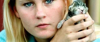Emma hittade kattungar  i en plastpåse