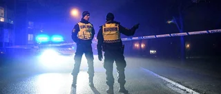 Låt Polisen göra jobbet