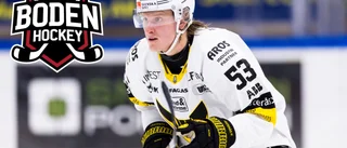 Öppnar för Boden Hockey: "Har något spännande på gång"