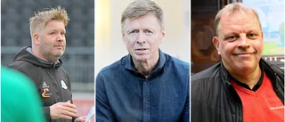 Skiljda åsikter om tuffa regeringsförslaget