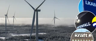 Tunga aktörer sågar vingklippt vindkraftsutredning