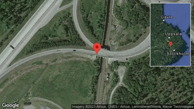 Älg på vägen på väg 273