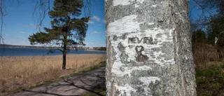 Den största rättsskandalen i mannaminne?