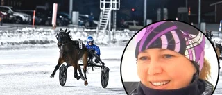 Skelleftestjärnan femma i nya storloppet – stall Laestander förstärker med intressant nyförvärv