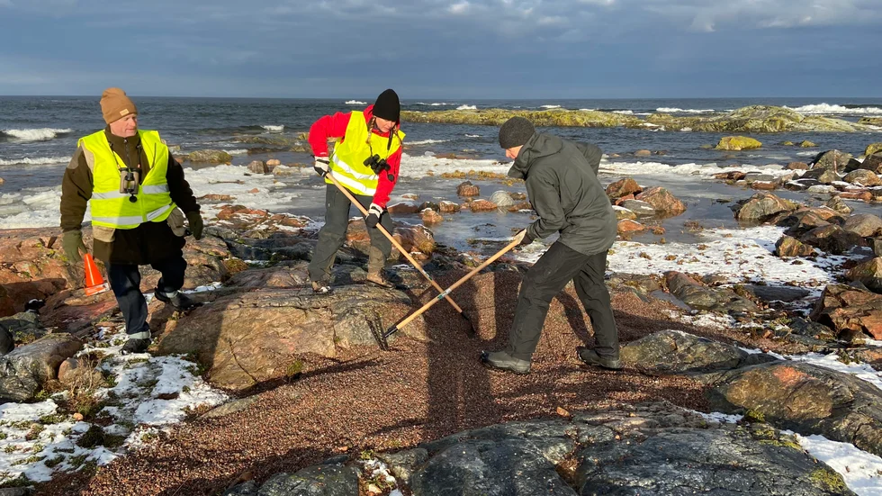 Här jobbar Ulrik Lötberg, Johan Lindell och Kajsa Björkén (båda från Upplandsstiftelsen) med arbetet på Stenarna. Arbetet måste göras när migrantfågeln skräntränan inte är på plats.