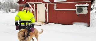 Långa köer på hunddagis: "Jag funderar på att utöka"