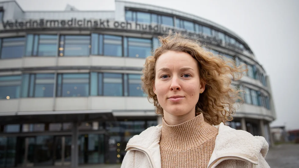 Felicia Hogrell skrev i höstas nya debattartiklar i Expressen om djurvälfärd, mot Jordbruksverket och mot SLU, som hon kritiserade för att sitta på dubbla stolar.