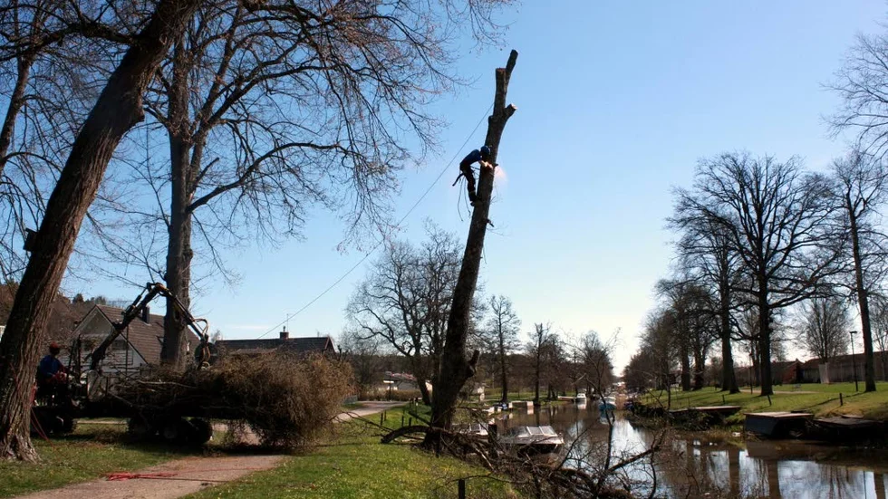 Bostäder vid Brunnsparken splittrar politikerna. Planerna är att bostäderna ska ligga vid tennisplanen.