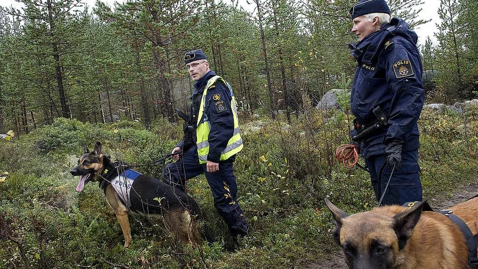 Hundsök. Polis med hund i jakten på försvunne "Lollo" efter att ett mycket intressant tips kom in i helgen. Bilden är en arkivbild.