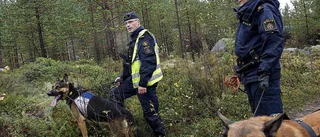 "Jag vet var "Lollo" är"