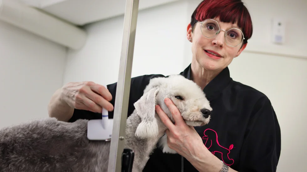 Anneli Varg har drivit Wolfies hundspa i lite mer än ett år. 