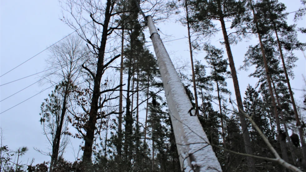 Flera elledningar och träd föll när stormen Malik drog fram över Östergötland. Här har en fallen stolpe i Bankekind utanför Linköping.