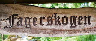 Avverkningen sätter djupa spår i Fagerskogen