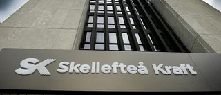 Svenskar väljer eljättarna