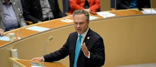 En liberalism att älska