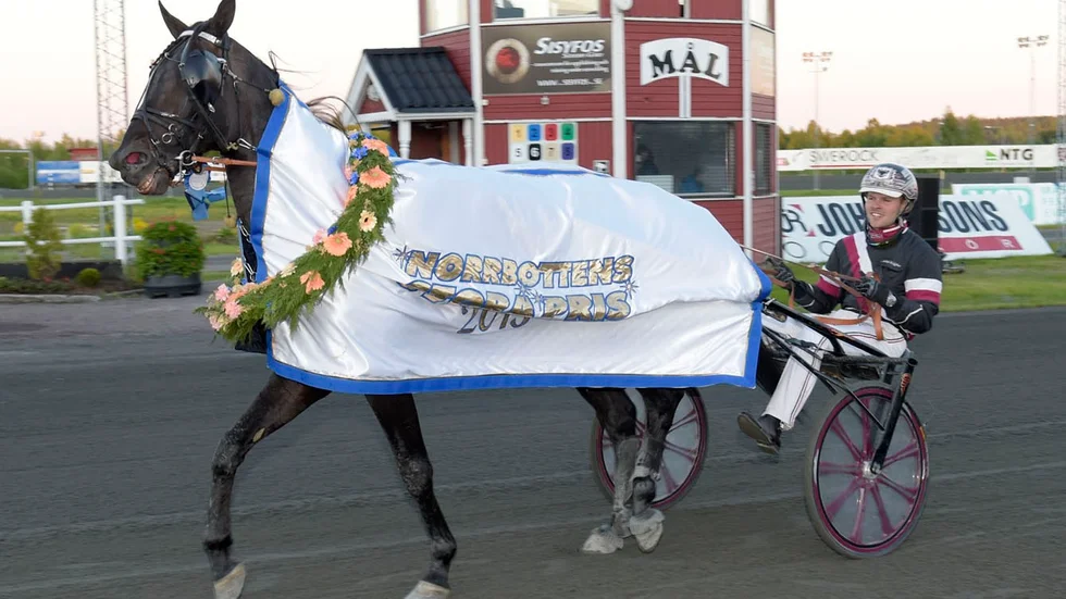Adrian Kolgjini och El Mago Pellini efter segern i Norrbottens Stora Pris. Foto: Leif Norberg.