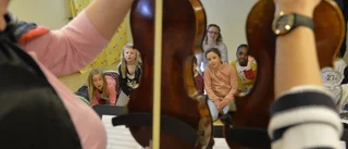 Fakta om kulturskolan 