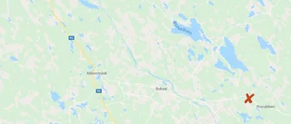 Par blev vittne till björnens attack