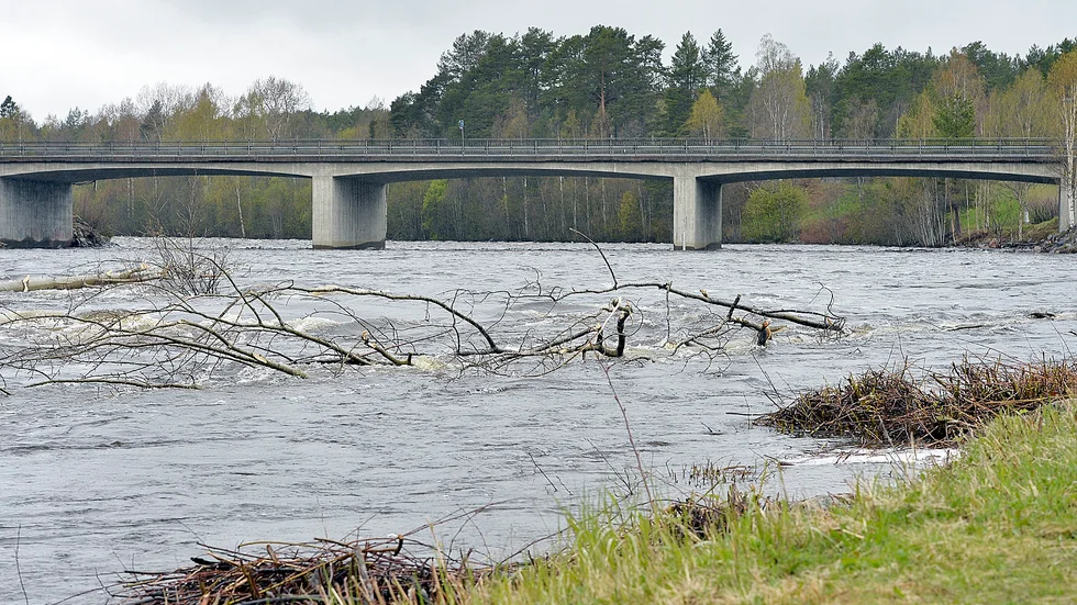 Skogsbolagen nekas utträde ur Byskeälvens fiskevårdsområde. Konflikten handlar om fiskeförvaltningen i Byskeälven. 