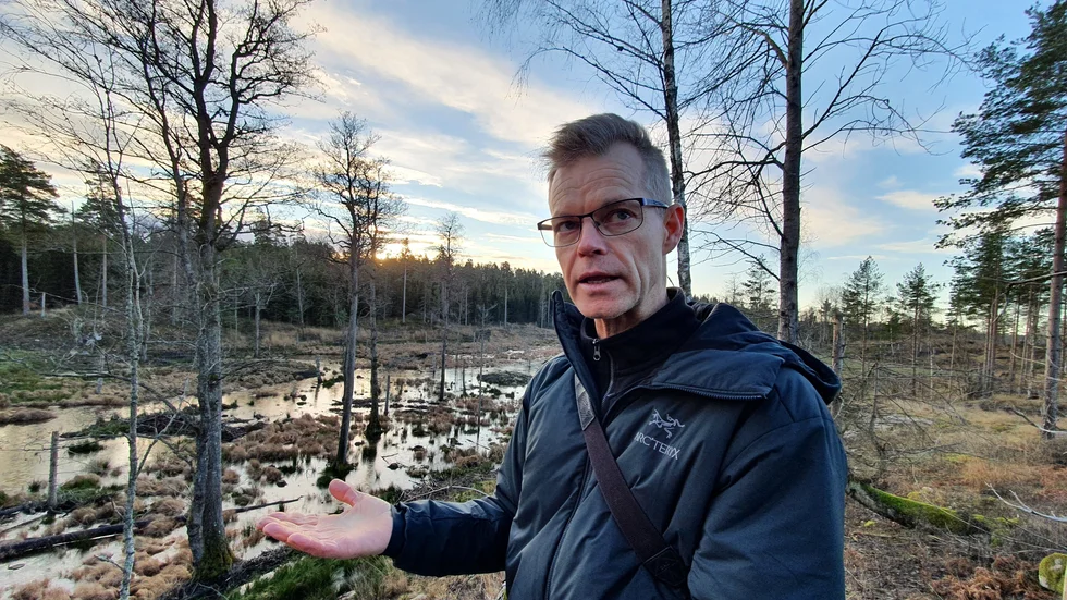 Stephan Gäfvert har ansökt om 3,5 miljoner för att anlägga 30 våtmarker i Nynäs naturreservat. Pengarna är avsatta för ändamålet av regeringen och fördelas av Naturvårdsverket via länsstyrelsen.