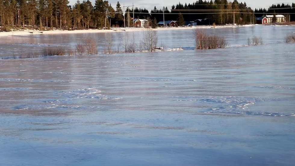 Isbelagda ängar i Öjebyn.