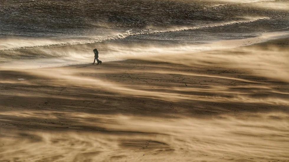 En person promenerar med en hund längs en strand i nordöstra England på lördagen.