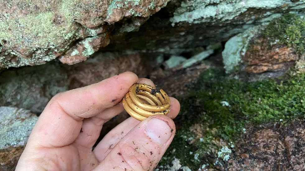 En 1|500 år gammal guldring – 43 gram tung – har hittats i de bohuslänska skogarna.