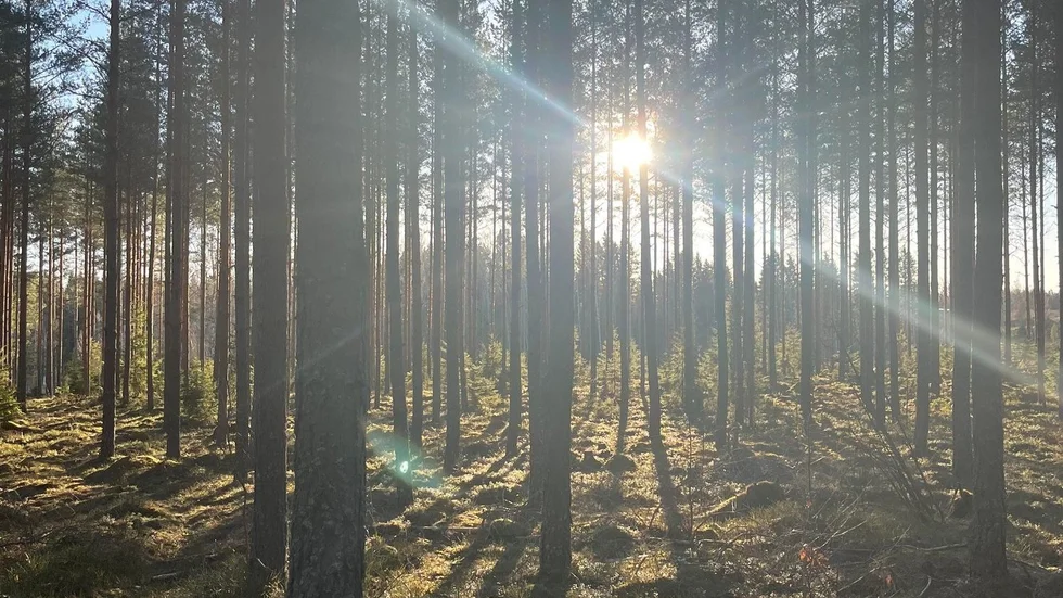 Solen skiner över Östergötland på måndagen!