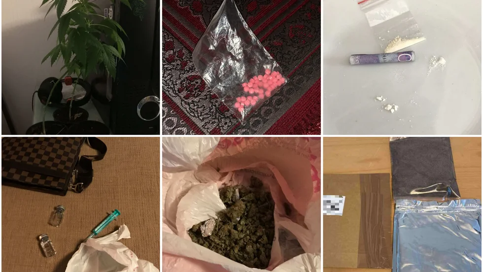 Bland knarkbeslagen finns cannabisplantor, metandienon, kokain, amfetamin och testosteronpropionat, bland annat. 