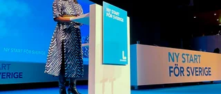 Sabunis linje om SD fick tydligt stöd