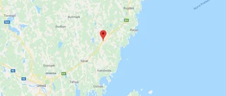 Se upp för älg