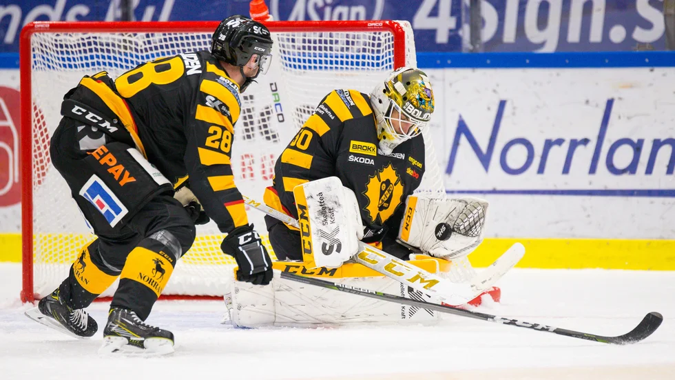Mantas Armalis blev en vinnare mot Växjö. Målvakten stoppade 26 och 27 puckar och gjorde återigen en fin insats. 