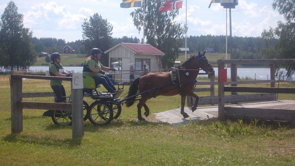 Pia Johansson lät mamma Lena tävla – och då segrade hon.