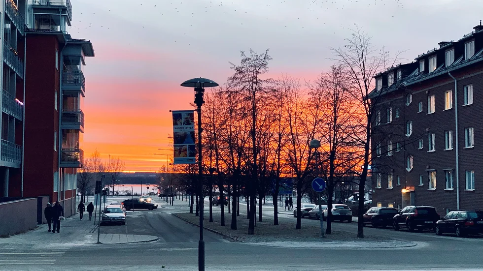 Vilka vackra solnedgångar det har varit i november...