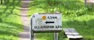 Signalementet stämmer inte