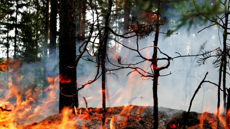Klimatet. Alla skriver om hettan. Men de flesta blundar för att klimatet faktiskt blir kallare hävdar dagens debattör.