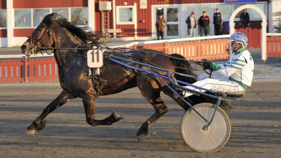 Faksbest och Leif Eriksson tog en favoritseger i Örnsköldsvik ikväll. FOTO: ROINE SANDLÉN