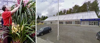 Blomsterslottet återuppstår – öppnar igen i mars
