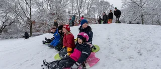 Full fart i pulkabacken när kramsnön kom till Uppsala