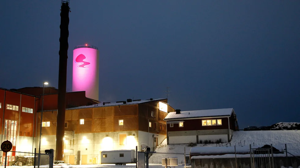 Shine the light-veckan anordnades för femte året på raken. I år sammanfaller den med Unizons "En vecka fri från våld".
