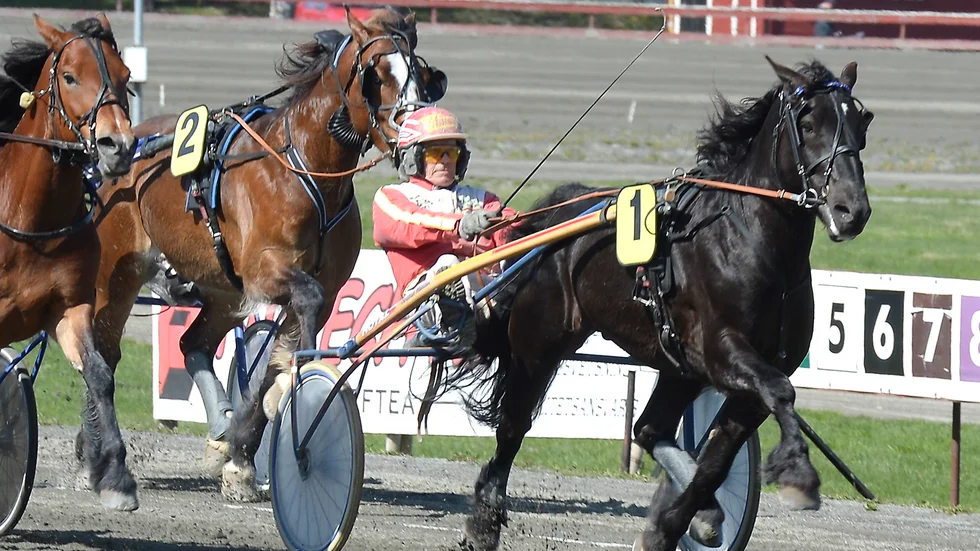 Umåkerkusken Janne Norberg missar lördagens V75-tävlingar.
