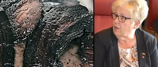 Äldremat på Brinken – tydligt nej från politikerna