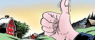 Lägg av nu, alla dysterkvistar