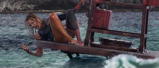 Så många stjärnor får skräckfilmen ”The shallows”