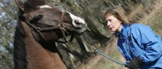 Lyckad vecka för Löf på Strömsholm