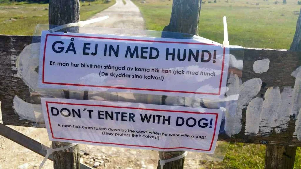 Den uppsatta skylten efter olyckan i hagen i veckan.