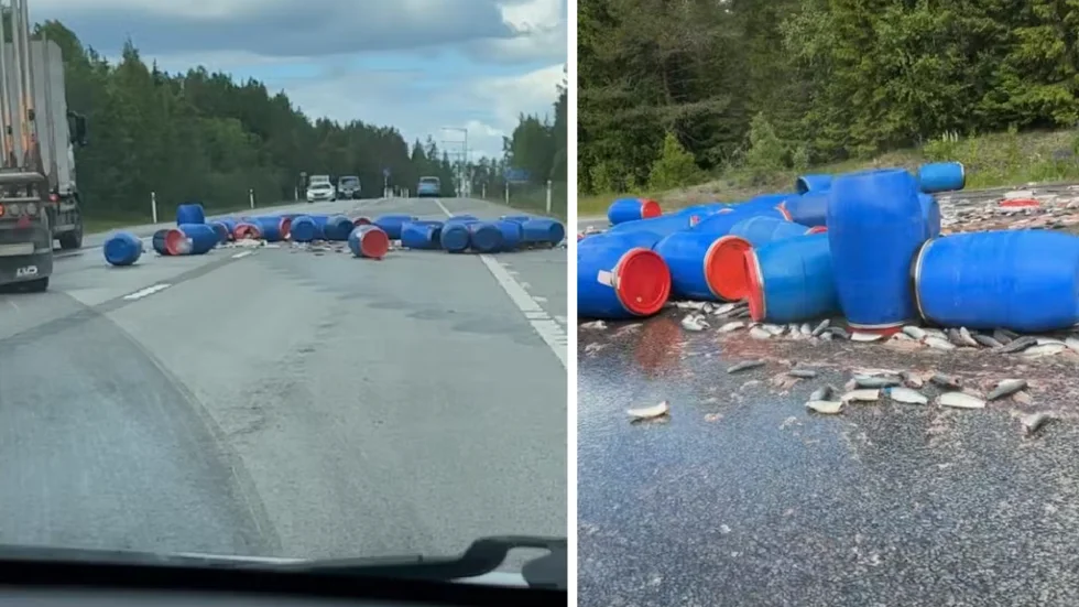 Flera tunnor med fisk har stoppat trafiken.