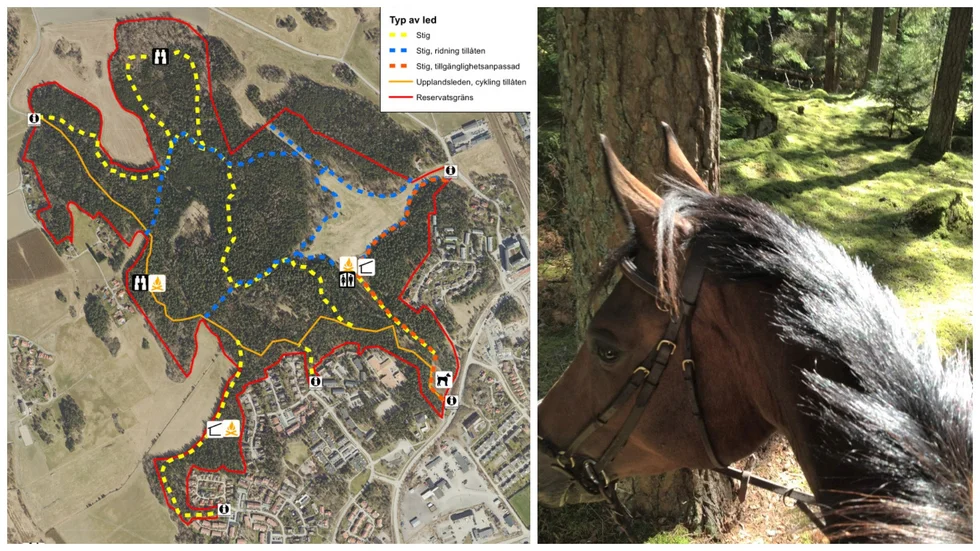 Blå streckad linje anger var man får rida i Ängbyskogen. Cyklister hänvisas till Upplandsleden (orange heldragen linje). Den röda linjen anger gränsen för naturreservatet.