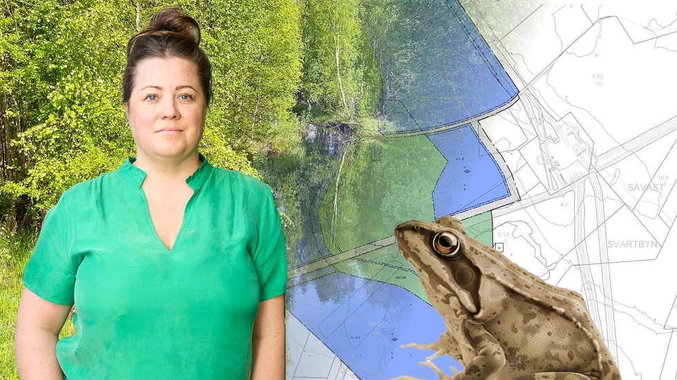 Omledning av en bäck och värnande om fridlysta växer och grodor tillhör de åtgärder som länsstyrelsen föreslår att H2 Green Steel ska göra. "Vi ser inga hinder för att komma vidare", säger Karin Hallstan, presschef vid H2 Green Steel.
