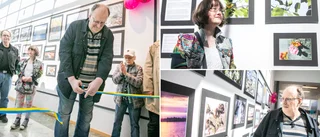 Kreatörer i daglig verksamhet ställer ut i Gallerian • ”Det är roligt och jag mår bra av det”